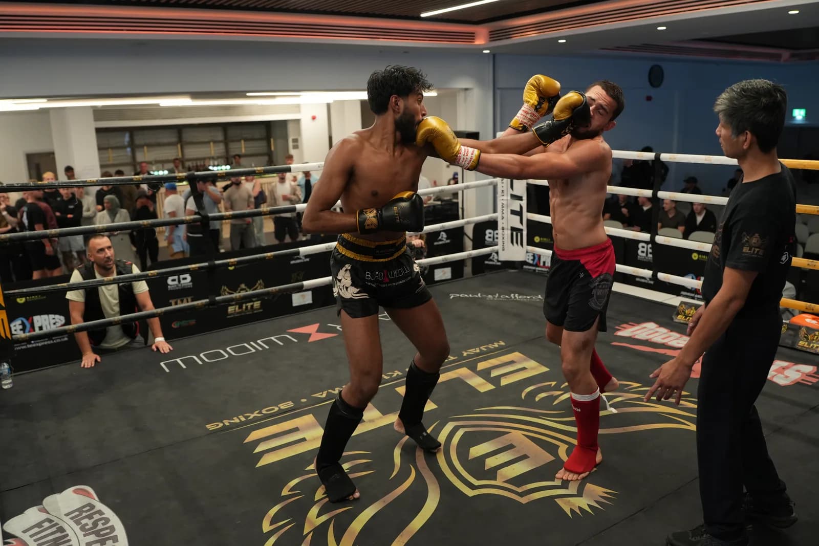Ringside XFC image of a clean punch landing during a boxing exchange.